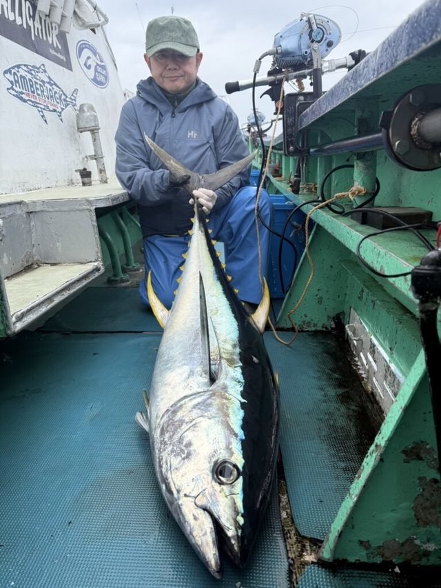 キハダマグロ(キハダ)