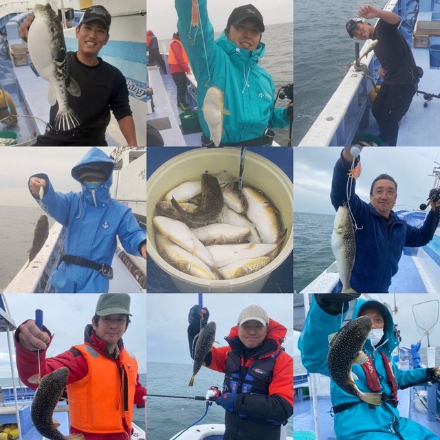 ショウサイフグ