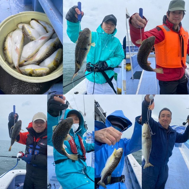 ショウサイフグ