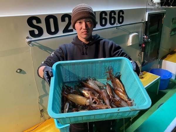 ムギイカ(スルメイカ)