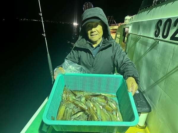 ムギイカ(スルメイカ)