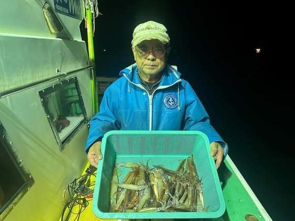 ムギイカ(スルメイカ)