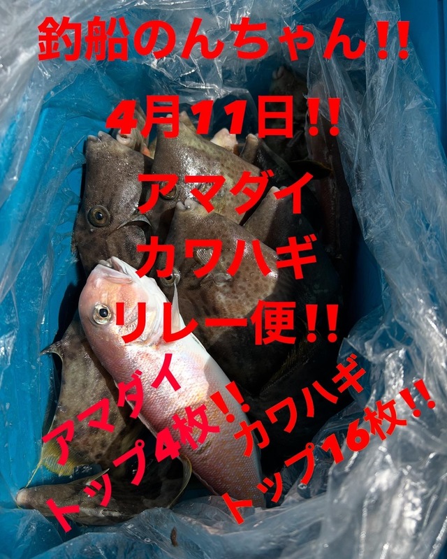 シロアマダイ・カワハギ