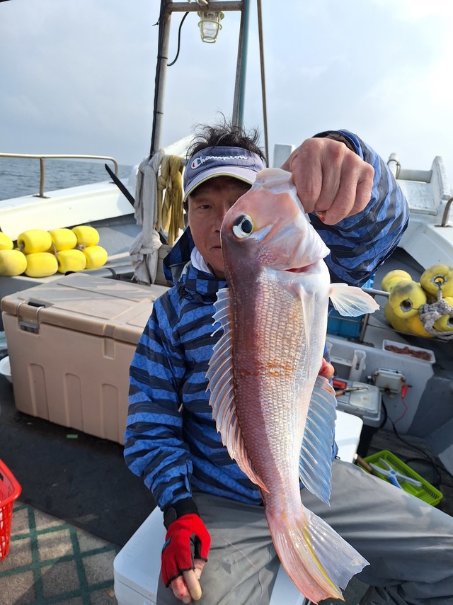 アマダイ(アカアマダイ)