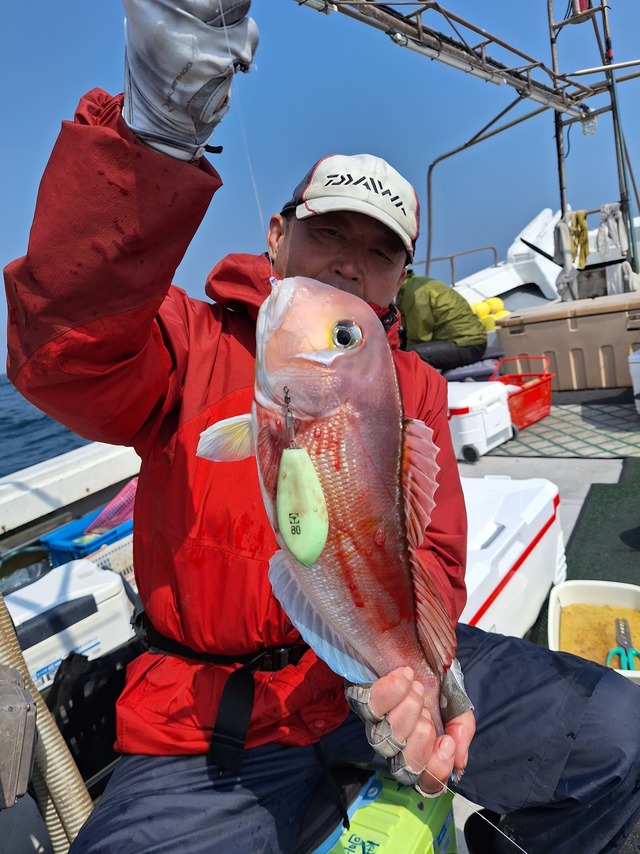 アマダイ(アカアマダイ)