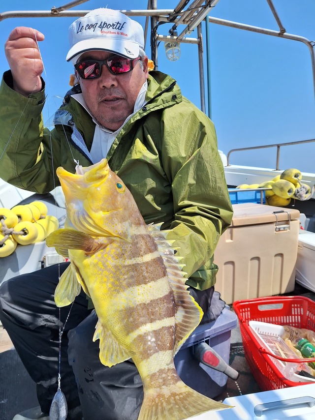 アオナ(アオハタ)