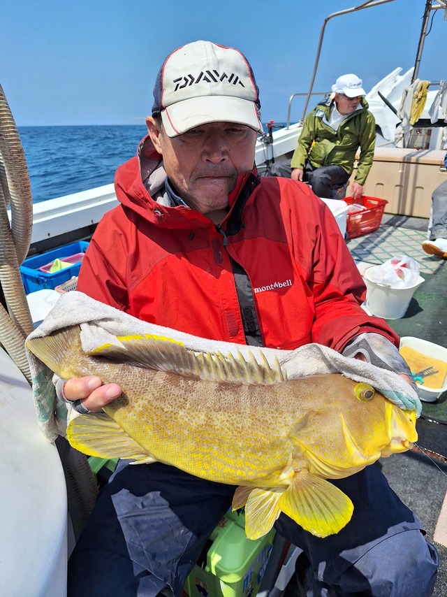 アオナ(アオハタ)