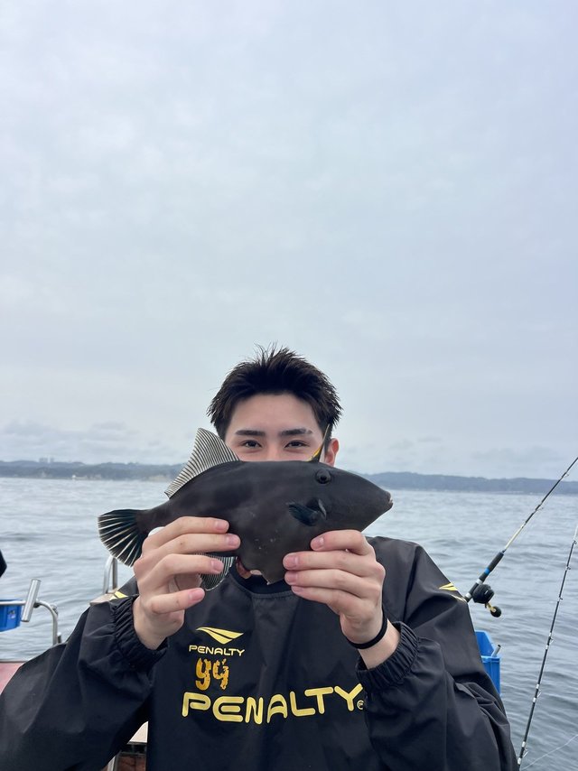 ウマズラハギ(ウマヅラハギ)