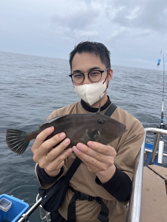 ウマズラハギ(ウマヅラハギ)