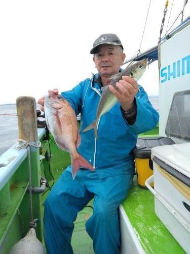 マダイ・アジ(マアジ)