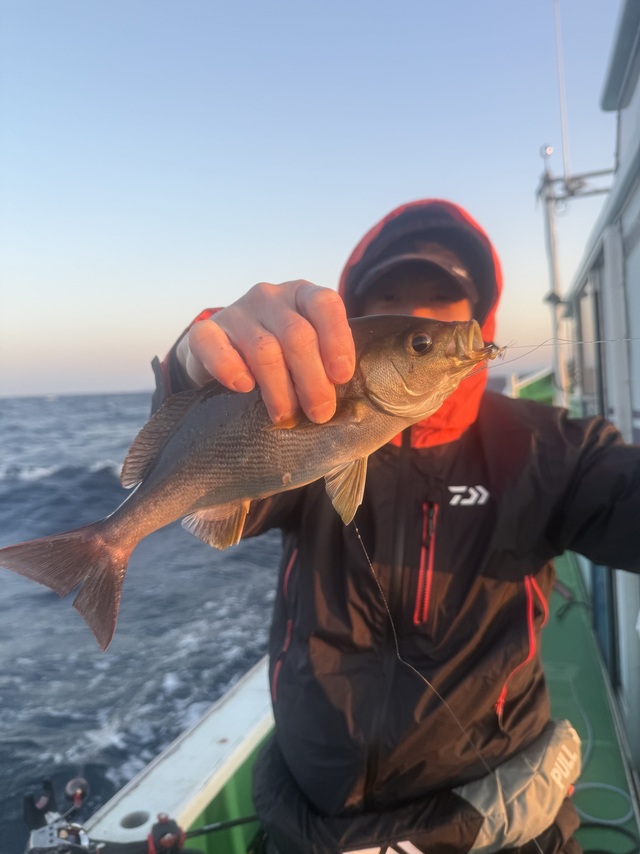 イサギ(イサキ)