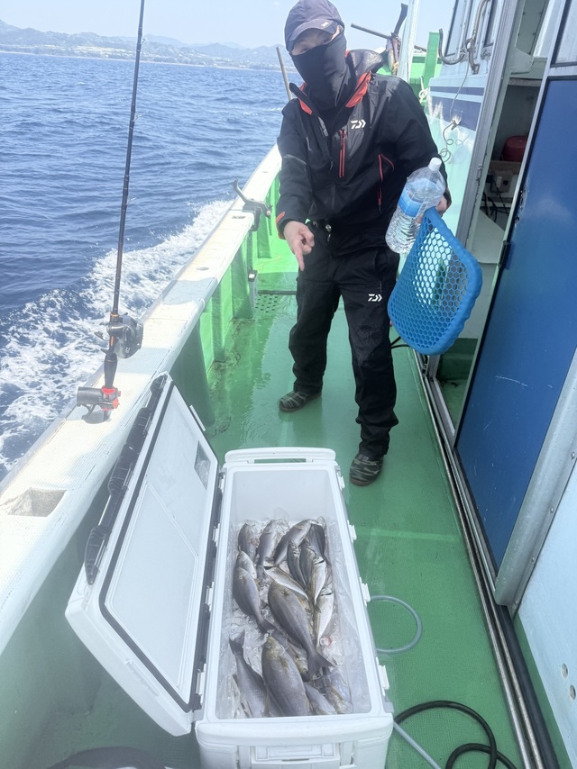 イサギ(イサキ)