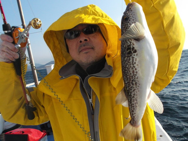 ショウサイフグ