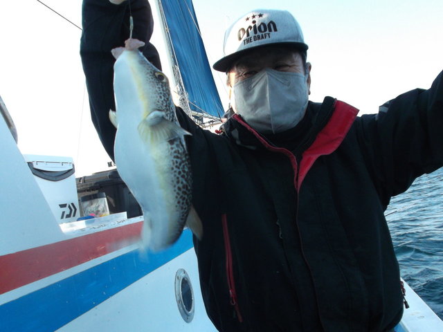 ショウサイフグ