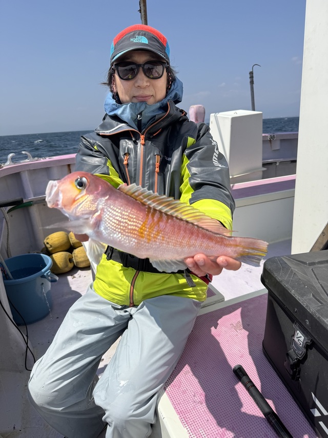 アマダイ(アカアマダイ)