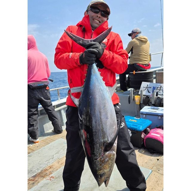 トンボ(ビンナガ)