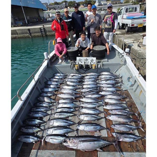 トンボ(ビンナガ)