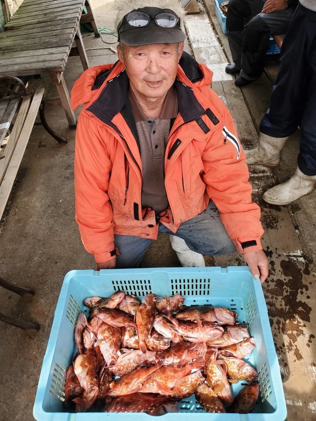 ガシラ(カサゴ)