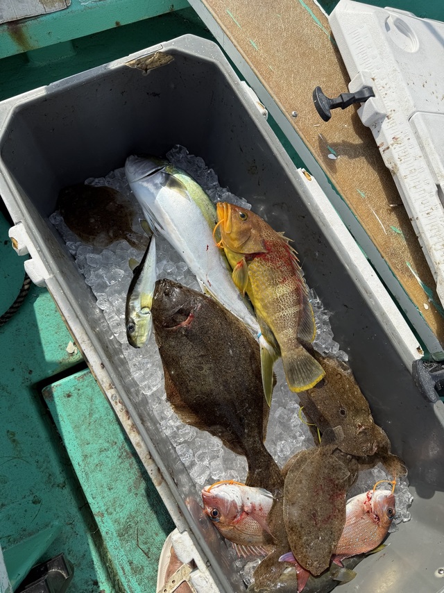 タイ(マダイ)・アオハタ・ハマチ(ブリ)・ヒラメ・ガンゾウヒラメ(ガンゾウビラメ)