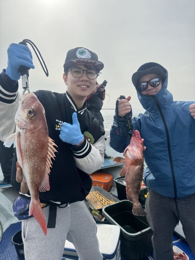 マダイ・アコウ(キジハタ)