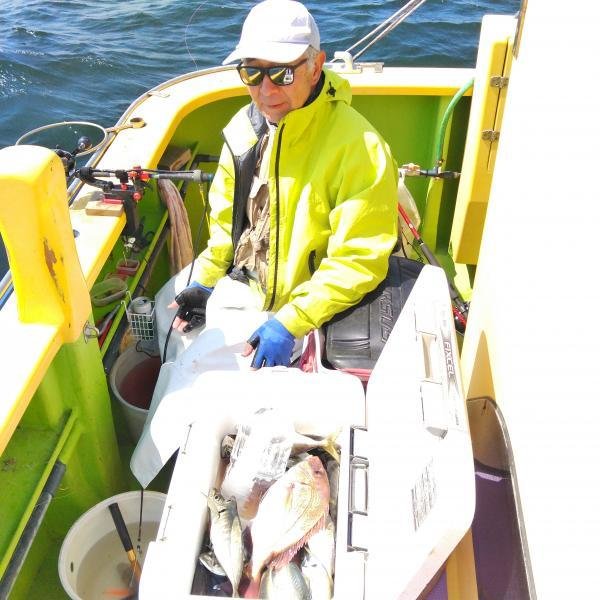 マダイ・アジ(マアジ)