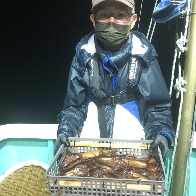 ムギイカ(スルメイカ)