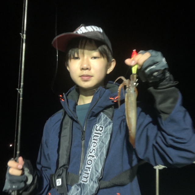 ムギイカ(スルメイカ)