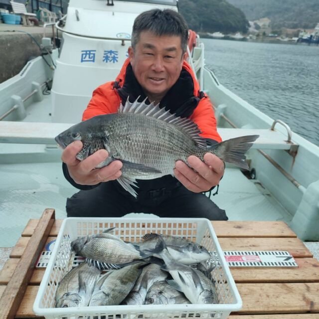 チヌ(クロダイ)