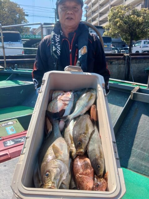 マダイ・キジハタ・イサキ・アラカブ(カサゴ)