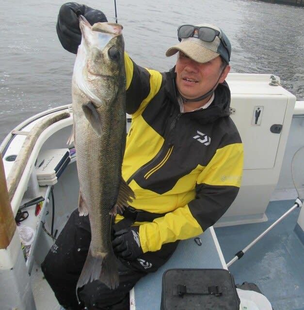 シーバス(スズキ)