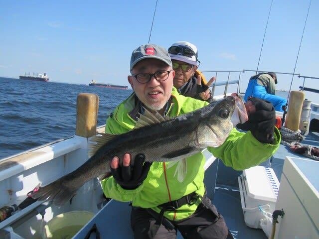 シーバス(スズキ)