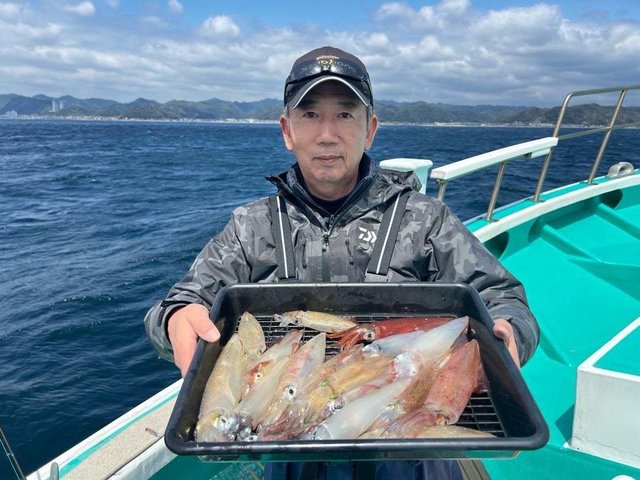 マルイカ(ケンサキイカ)・ムギイカ(スルメイカ)