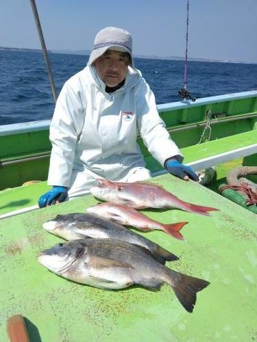 マダイ・クロダイ