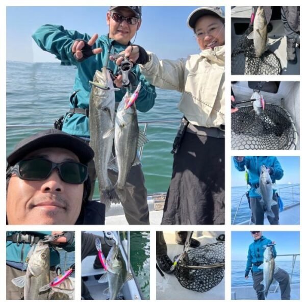 シーバス(スズキ)