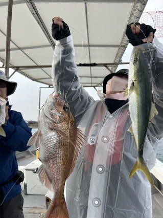 マダイ・ハマチ(ブリ)