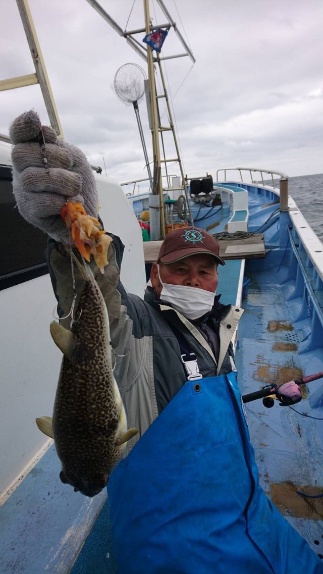 ショウサイフグ