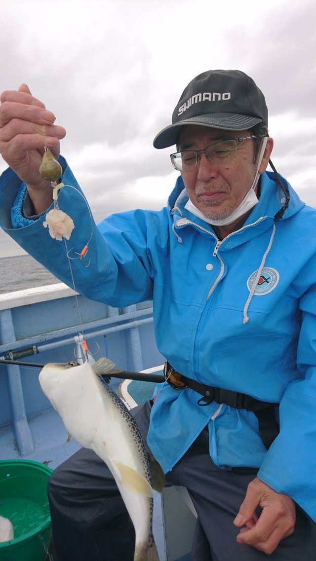 ショウサイフグ