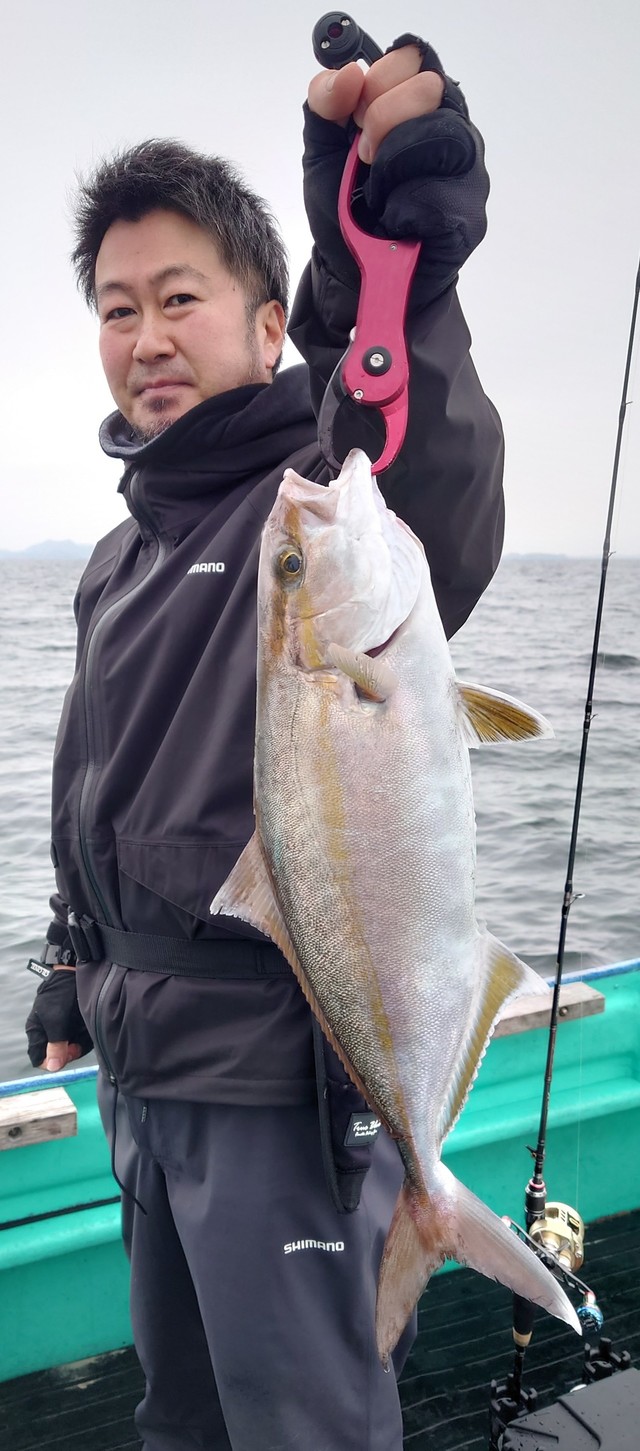 ショゴ(カンパチ)