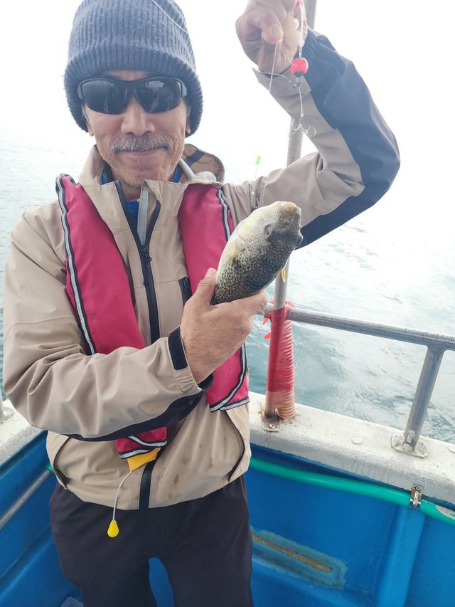 フグ(ショウサイフグ)