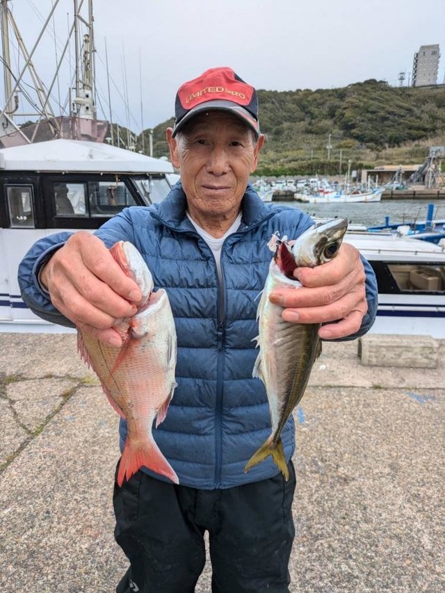 ハナダイ(チダイ)・アジ(マアジ)