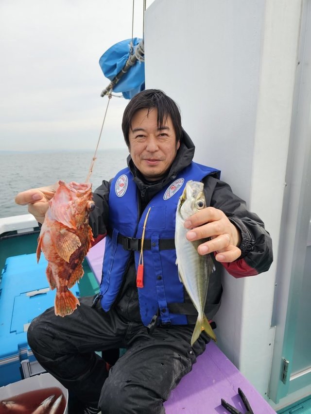 アジ(マアジ)・ガシラ(カサゴ)