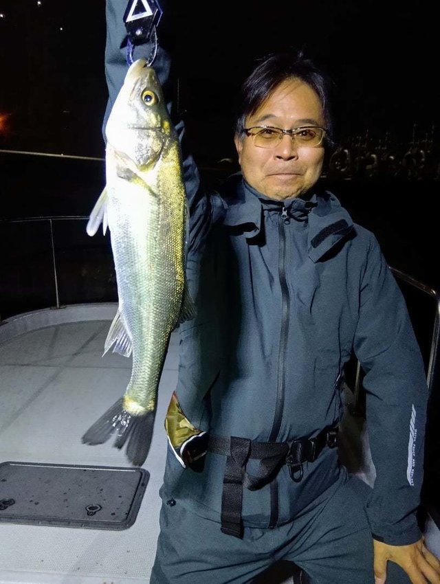 シーバス(スズキ)