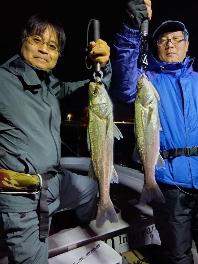 シーバス(スズキ)