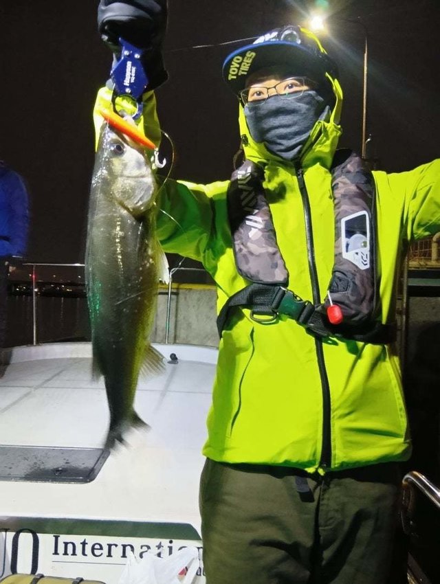 シーバス(スズキ)