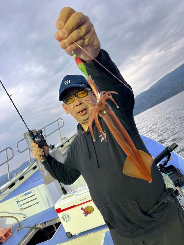 ムギイカ(スルメイカ)