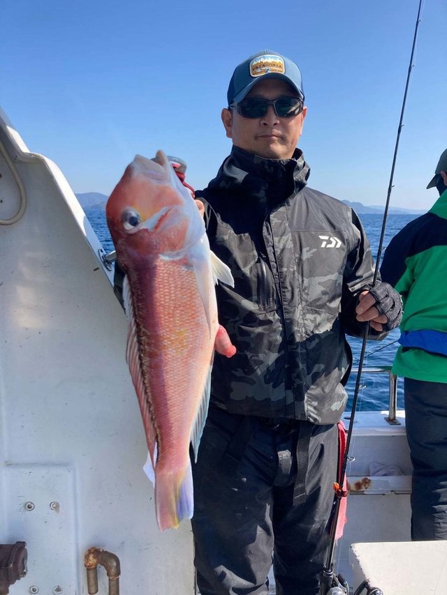 アマダイ(アカアマダイ)