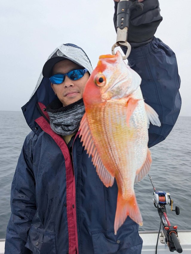 レンコダイ(キダイ)