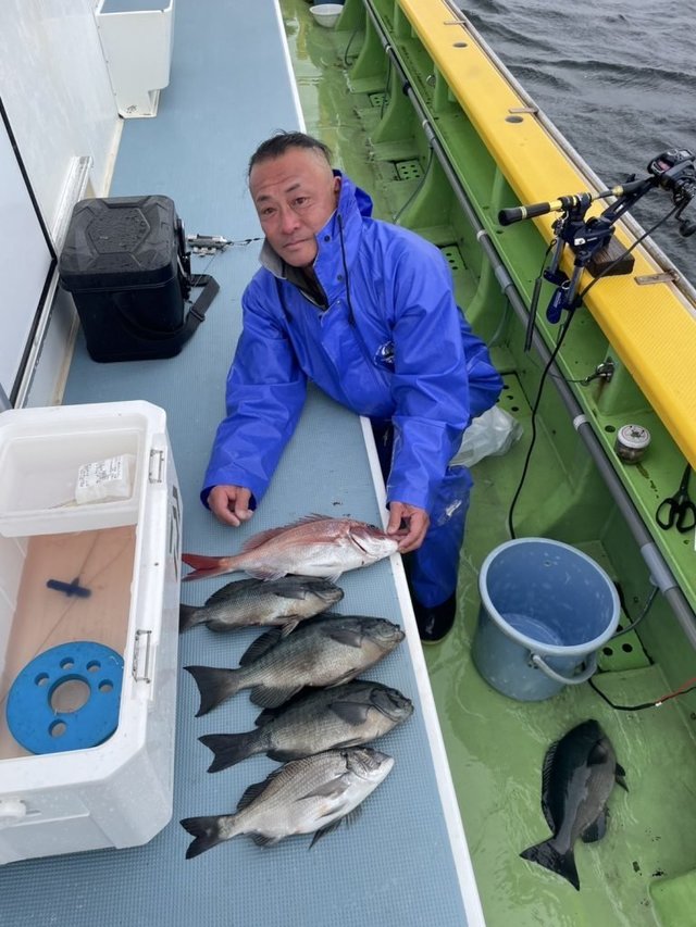 マダイ・クロダイ・メジナ