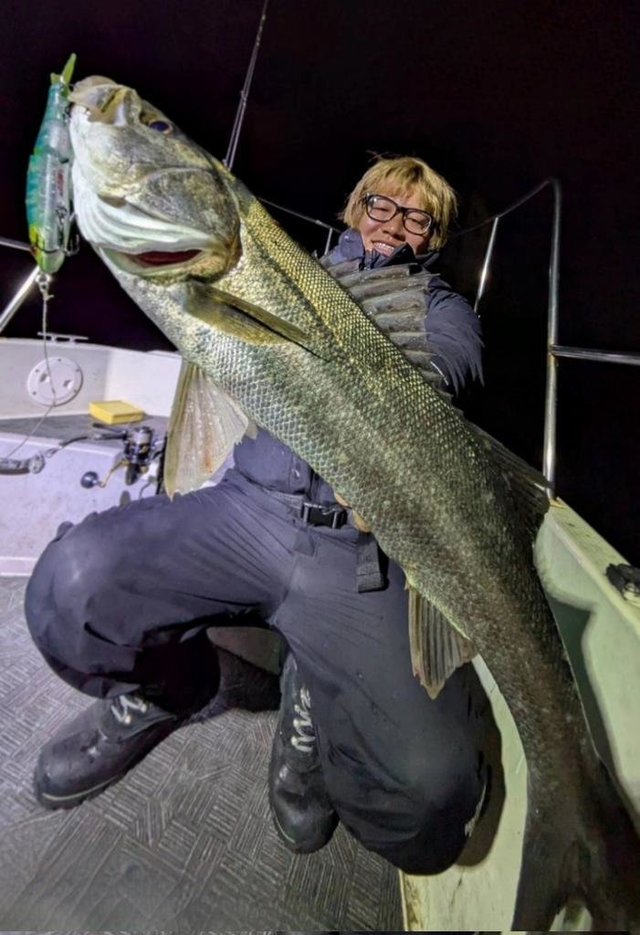 シーバス(スズキ)