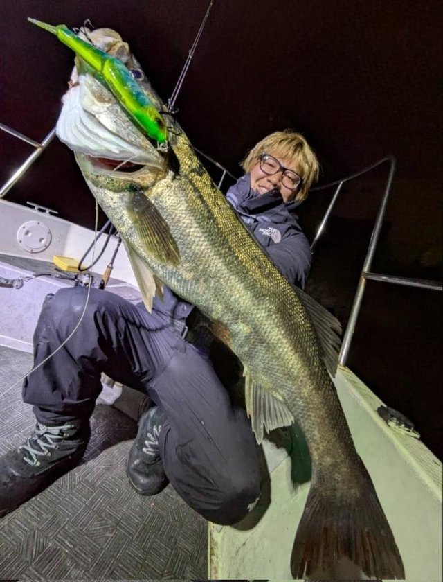 シーバス(スズキ)